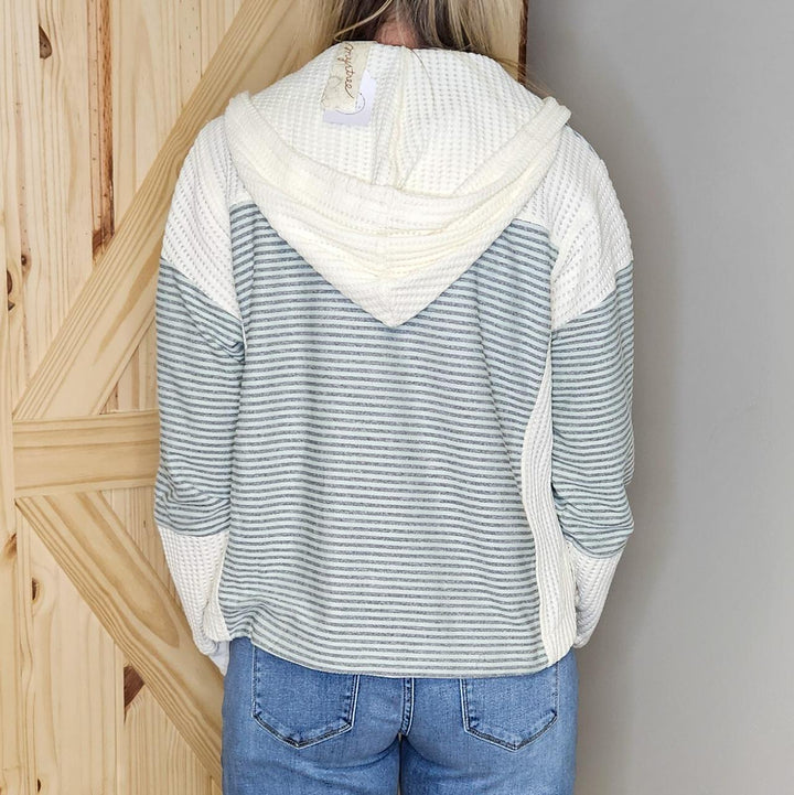 Color Blocked Hoodie Jacket
