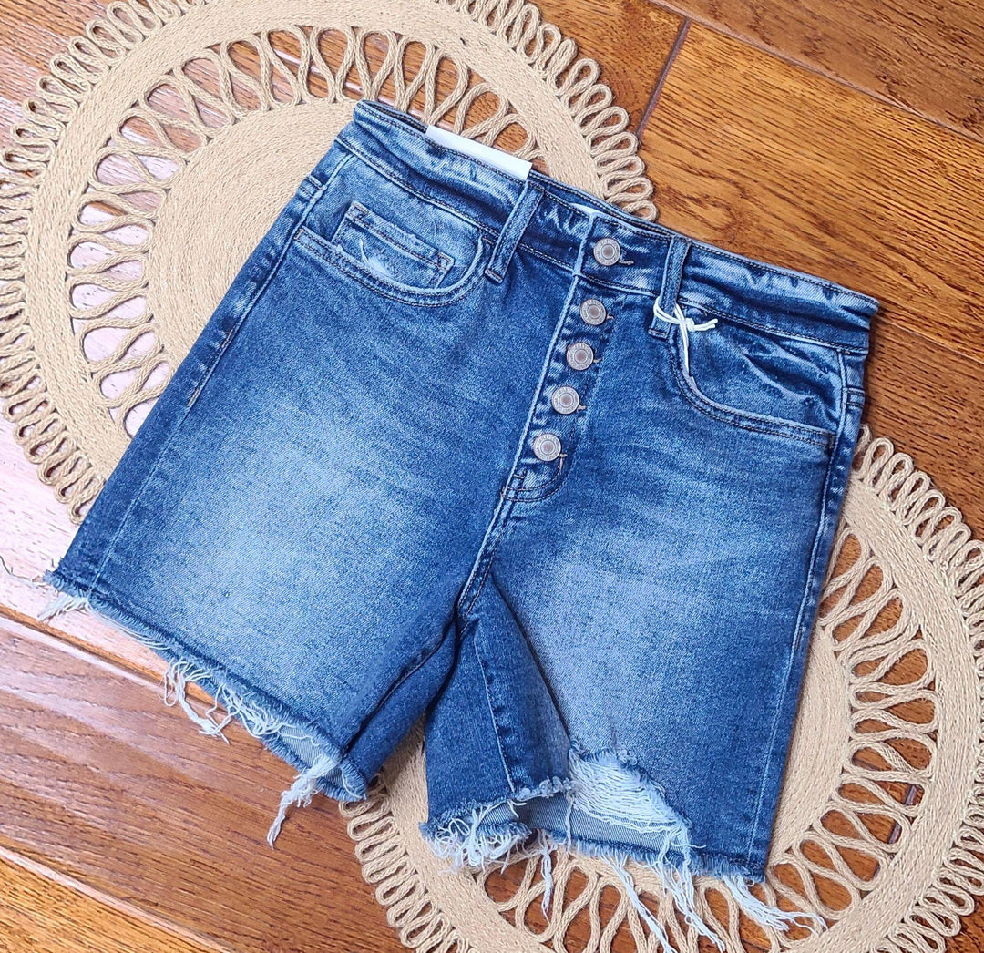 Vervet Rebecca High-Rise Shorts