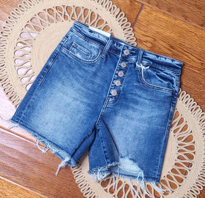 Vervet Rebecca High-Rise Shorts