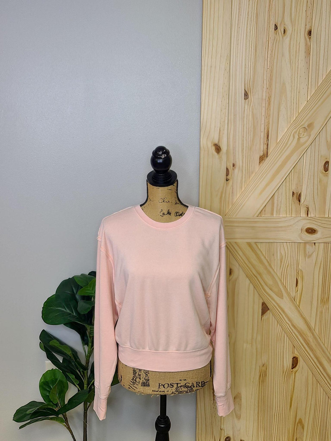 Soft Cropped Sweatshirt