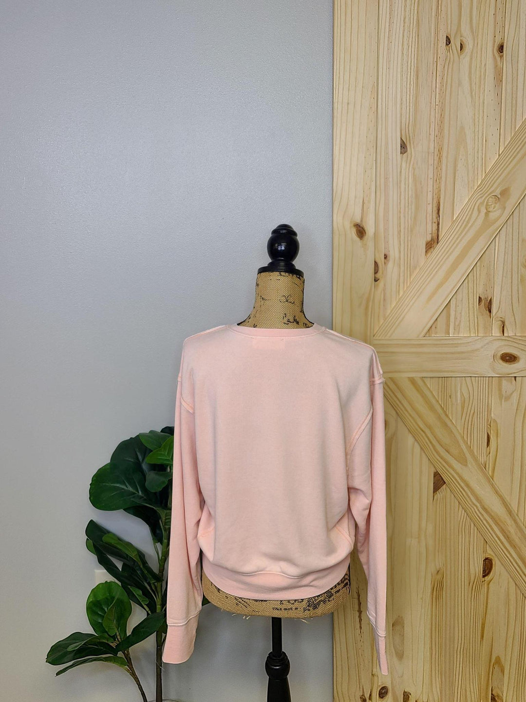Soft Cropped Sweatshirt